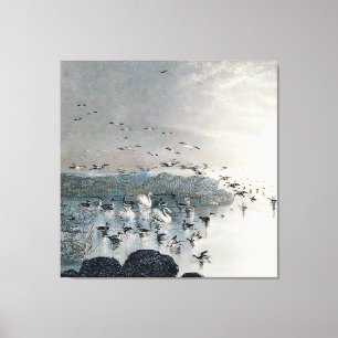 Eenden, Mallards en Zwans op het meer bij zonsonde Canvas Afdruk
