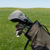 Eenden, Mallards en Zwans op het meer bij zonsonde Golfheadcover (Insitu)