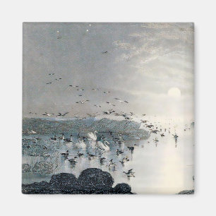 Eenden, Mallards en Zwans op het meer bij zonsonde Magneet