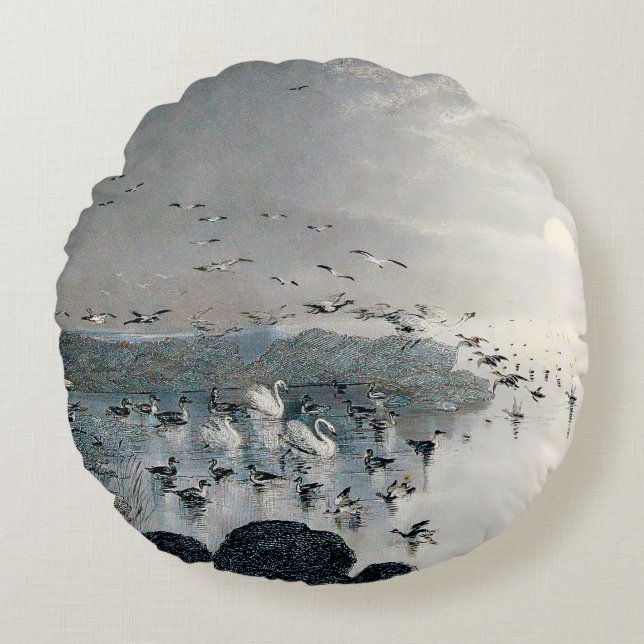 Eenden, Mallards en Zwans op het meer bij zonsonde Rond Kussen (Voorkant)