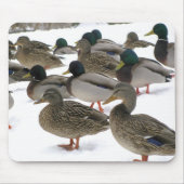 Eenden! Mousepad Muismat (Voorkant)