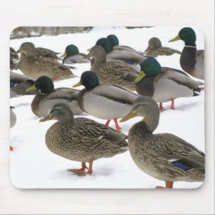 Eenden! Mousepad Muismat