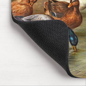  eenden muismat (Hoek)