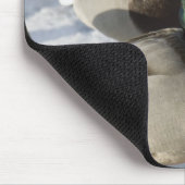 Eenden Muismat (Hoek)