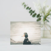 Eenden Natuur Foto Briefkaart (Staand voorkant)