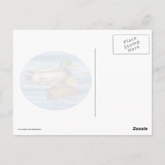 Eenden op blauw water briefkaart (Achterkant)