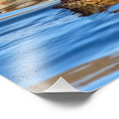 Eenden op blauw water foto afdruk (Hoek)