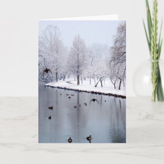 Eenden op de Kreek Kaart (Voorkant)