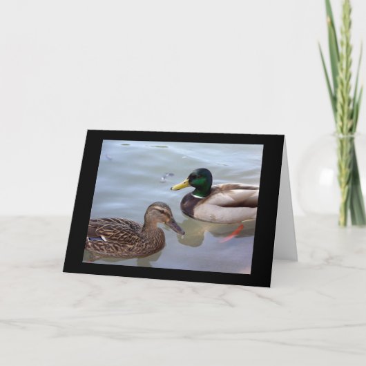 Eenden op een Kaart van de Vijver (Voorkant)