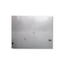 Eenden op een mistig meer