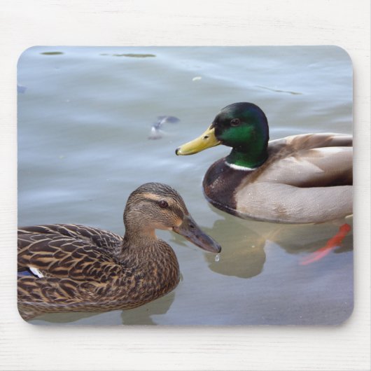 Eenden op een Pond Mousepad Muismat (Voorkant)