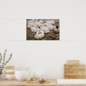 Eenden op een vijver poster (Keuken)