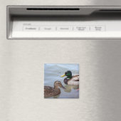 Eenden op een vijvermagneet magneet (Insitu (Vaatwasser))