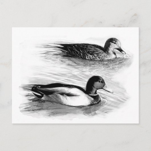 Eenden op het meer briefkaart (Voorkant)