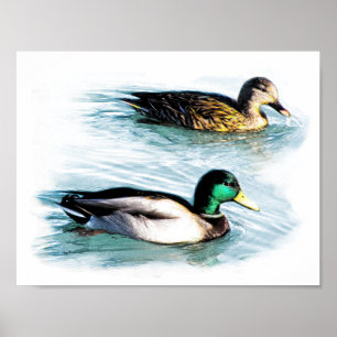 Eenden op het meer poster