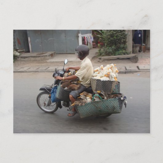 Eenden op motorfiets-Vietnam Briefkaart (Voorkant)