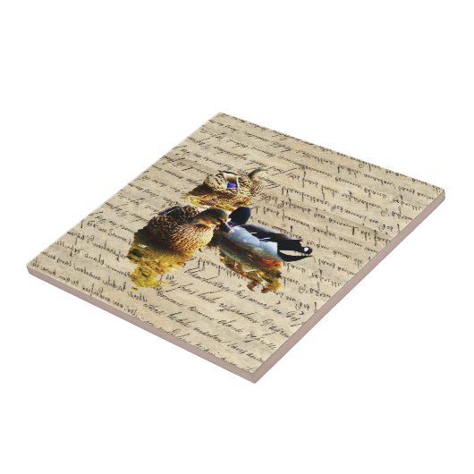Eenden op papier tegeltje (Zijkant)
