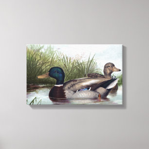 Eenden op  schilderen van de Pond Canvas Afdruk