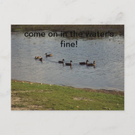 Eenden op wateruitnodiging briefkaart