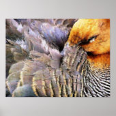 EENDEN POSTER (Voorkant)