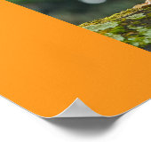 Eenden Poster (Hoek)