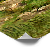  eenden poster (Hoek)