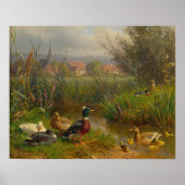 Eenden Poster (Voorkant)