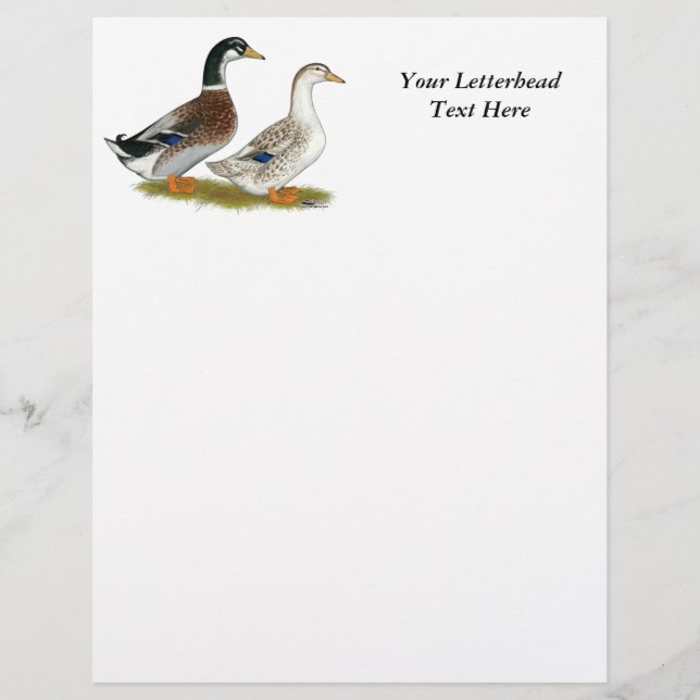 Eenden: Silver Appleyard (Voorkant)