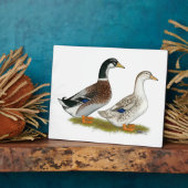 Eenden: Silver Appleyard Fotoplaat (Zijkant)