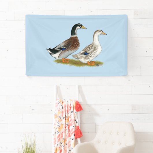 Eenden: Silver Appleyard Spandoek (Insitu)