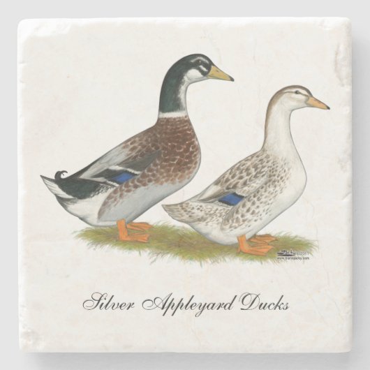 Eenden: Silver Appleyard Stenen Onderzetter (Voorkant)