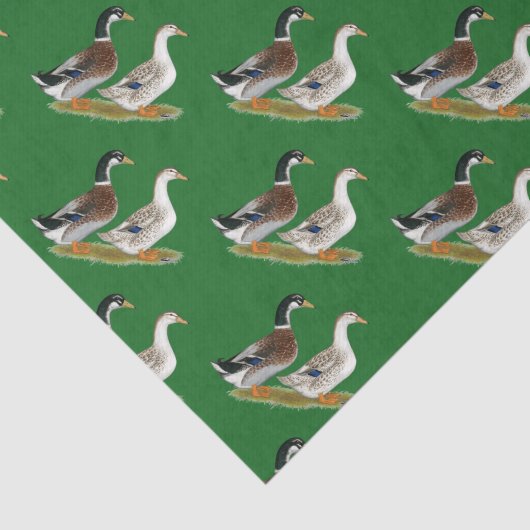 Eenden: Silver Appleyard Tissuepapier (Detail)