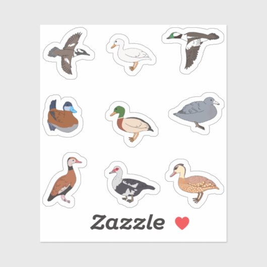 Eenden Sticker (Vel)