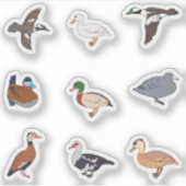 Eenden Sticker (Voorkant)