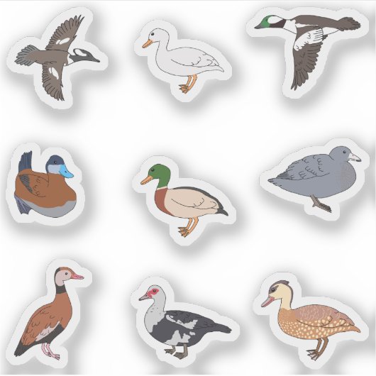 Eenden Sticker (Voorkant)