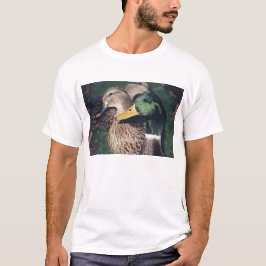eenden t-shirt (Voorkant)