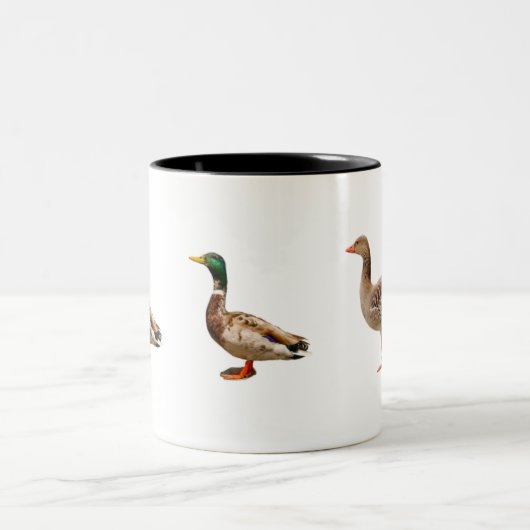 eenden tweekleurige koffiemok (Center)
