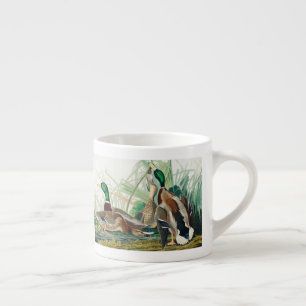 Eenden uit Amerikaanse vogelgebieden (Audubon) Espresso Kop