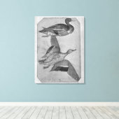 Eenden uit het Album van de Vallardi Canvas Afdruk (Insitu (Houten vloer))