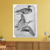 Eenden uit het Album van de Vallardi Canvas Afdruk (Insitu (Woonkamer))