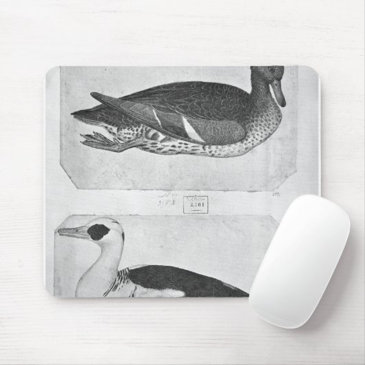 Eenden uit het Album van de Vallardi Muismat (Met muis)