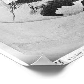 Eenden uit het Album van de Vallardi Poster (Hoek)