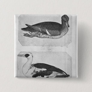 Eenden uit het Album van de Vallardi Vierkante Button 5,1 Cm