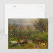 Eenden van Carl Jutz Briefkaart (Voorkant / Achterkant)