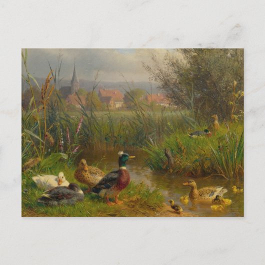 Eenden van Carl Jutz Briefkaart (Voorkant)