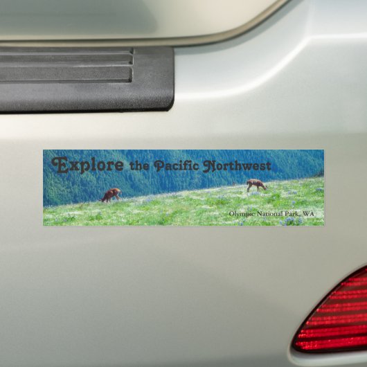 Eenden van de bergen bumpersticker (Op auto)