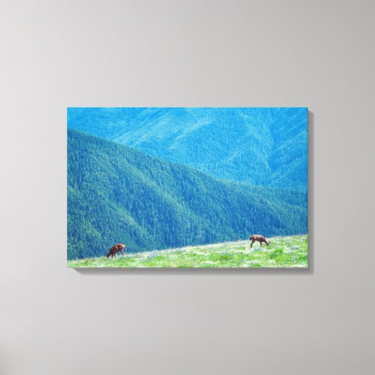 Eenden van de bergen canvas afdruk (Voorkant)