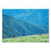 Eenden van de bergen foto afdruk (Voorkant)