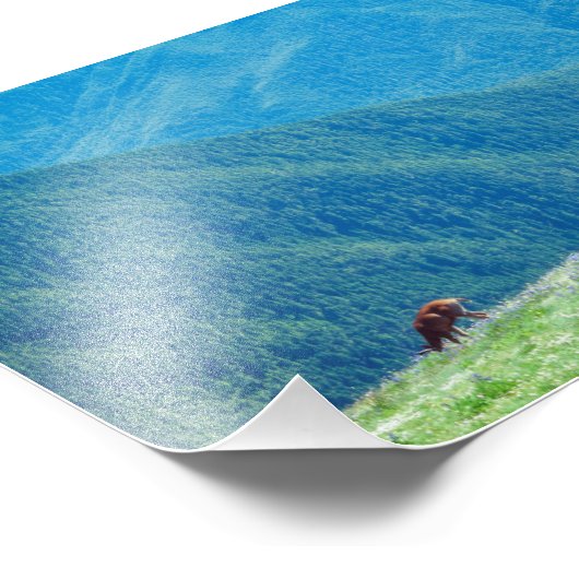 Eenden van de bergen foto afdruk (Hoek)