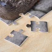 Eenden van de Natuur Watervogels Fotografie Legpuzzel (Zijkant)